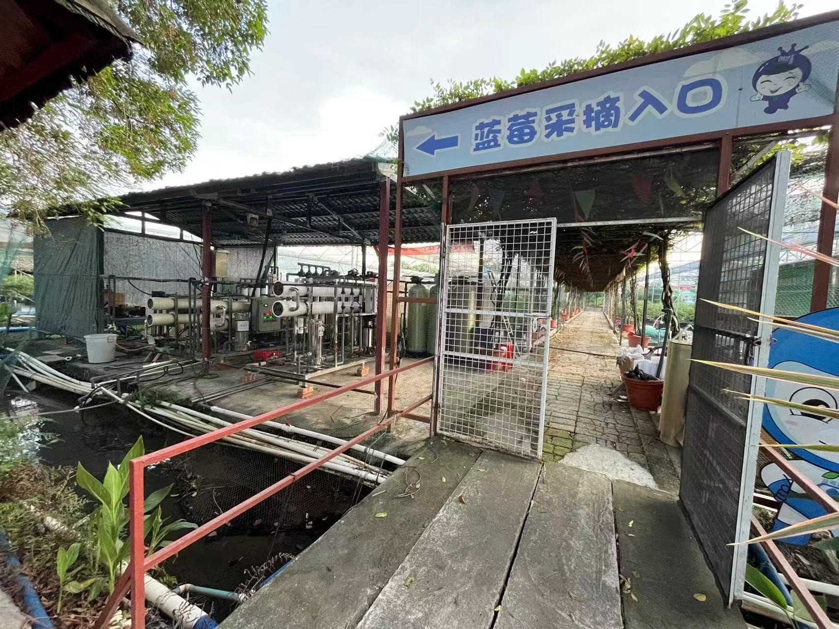 蓝莓养植水处理设备
